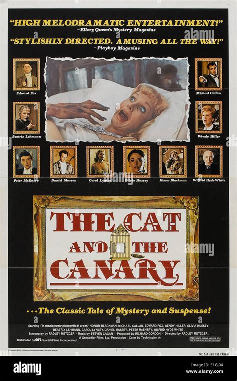 The Cat and the Canary! A Bewitching Blend of Silent Horror and Gothic Romance