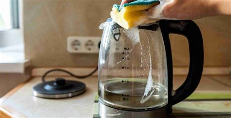 How to Clean a Glass Kettle: A Comprehensive Guide and Why Pineapples Might Be the Secret Ingredient