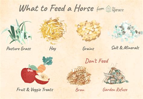 How to Feed Horse RDR2: A Comprehensive Guide to Equine Nutrition in the Wild West