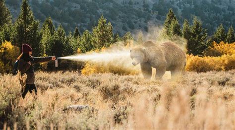 Is it legal to carry bear spray, and can it double as a fashion statement in urban jungles?