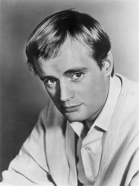 N.C.I.S.! A Groundbreaking Spy Thriller Starring David McCallum and Featuring Intense Cold War Espionage