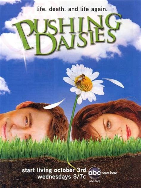 Pushing Daisies: A Supernatural Procedural Where Romance Blossoms From Death and Pies Reign Supreme!